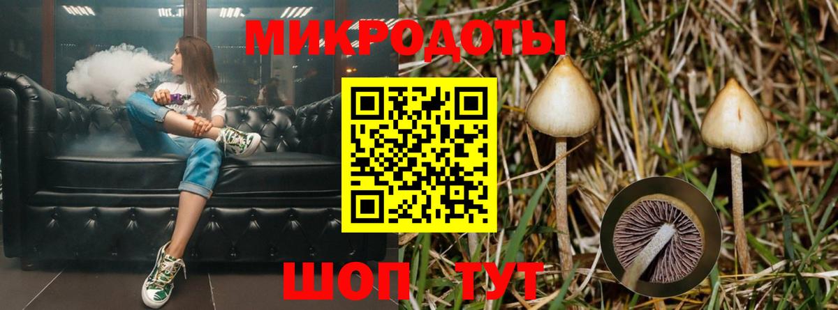 Псилоцибиновые грибы прущие грибы Раменское