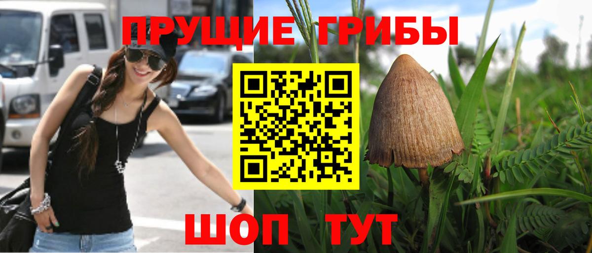 Псилоцибиновые грибы Psilocybe  Галлюциногенные грибы мухоморы  продажа наркотиков  Вход с VPN  Раменское 